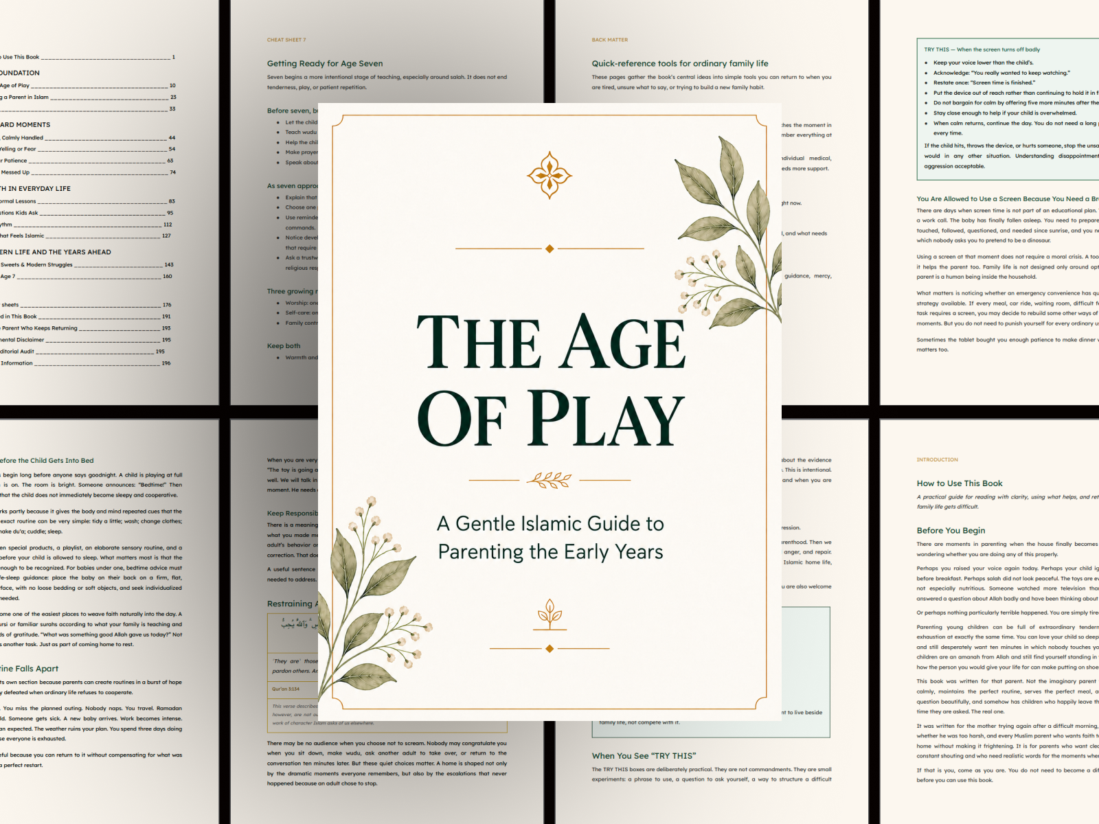 The Age of Play ebook cover surrounded by selected interior pages