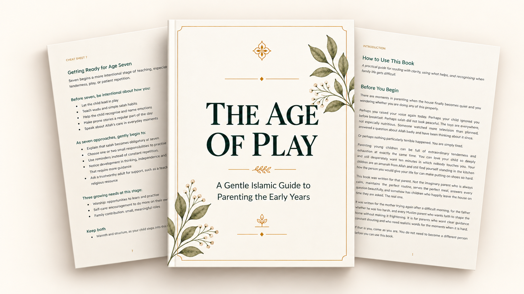 The Age of Play ebook cover with two selected interior pages